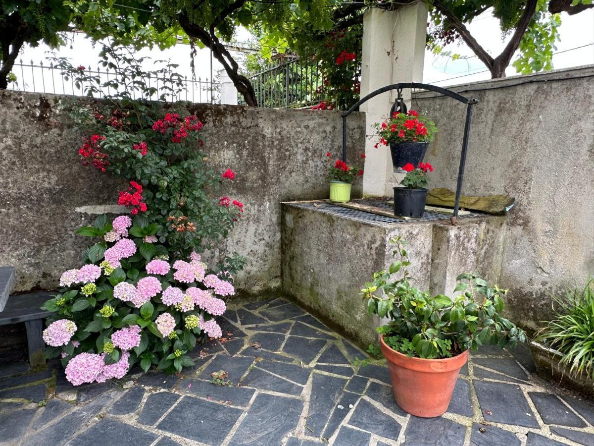 Villa O Toxal Monforte De Lemos Exterior foto