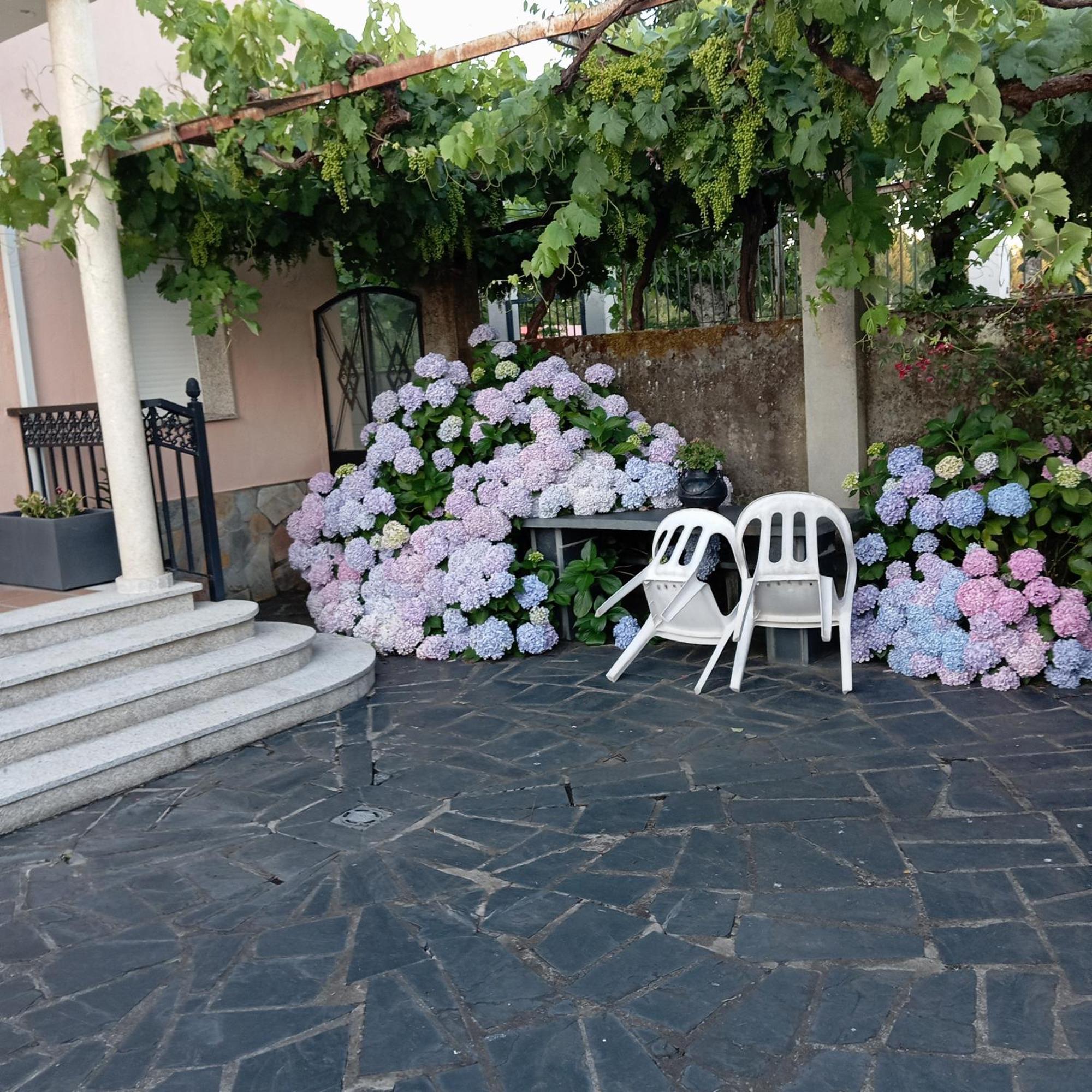 Villa O Toxal Monforte De Lemos Exterior foto