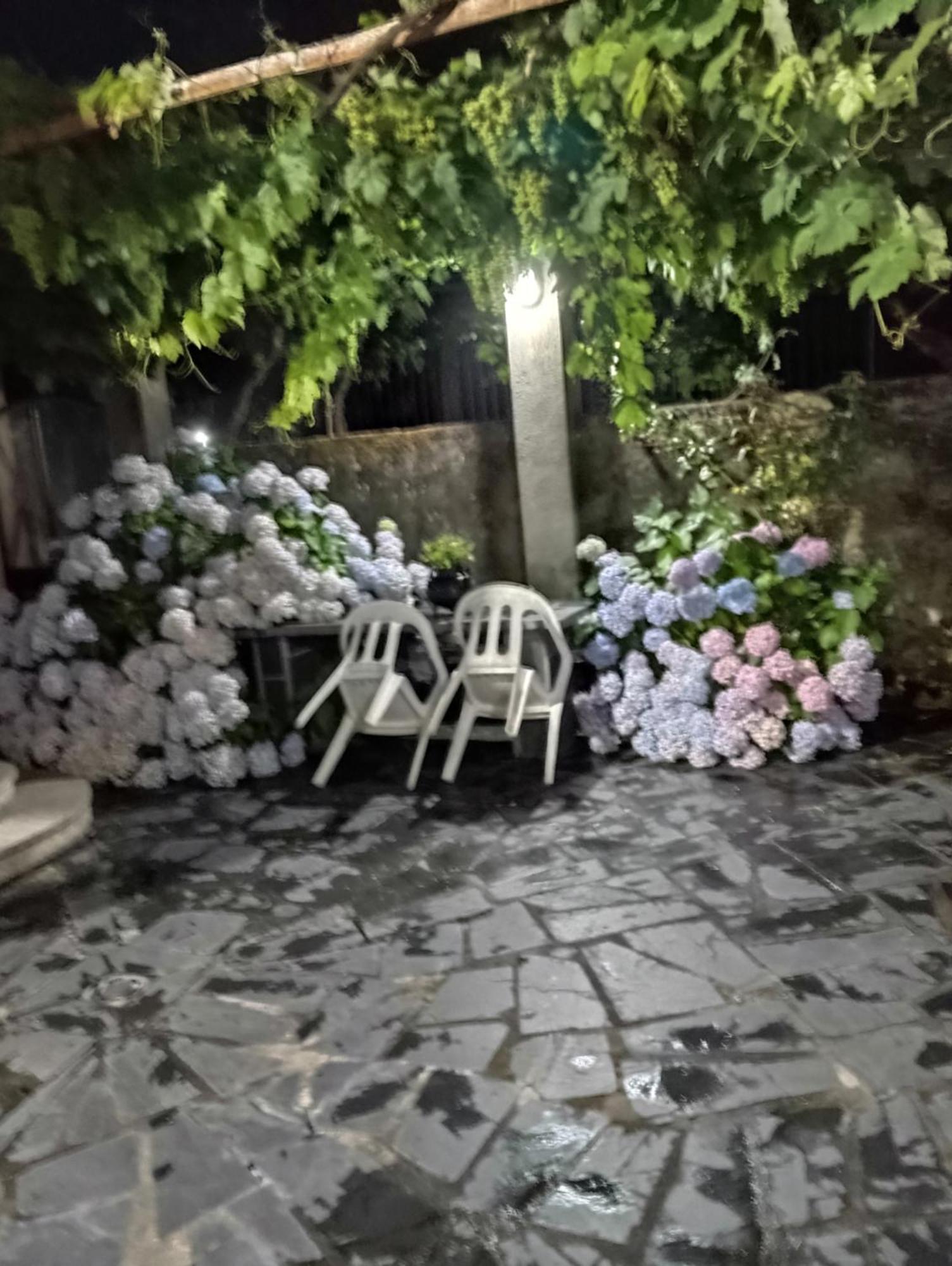 Villa O Toxal Monforte De Lemos Exterior foto