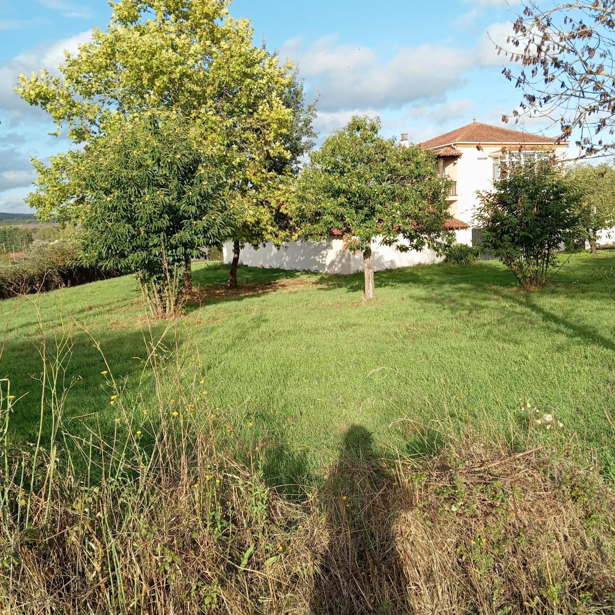 Villa O Toxal Monforte De Lemos Exterior foto
